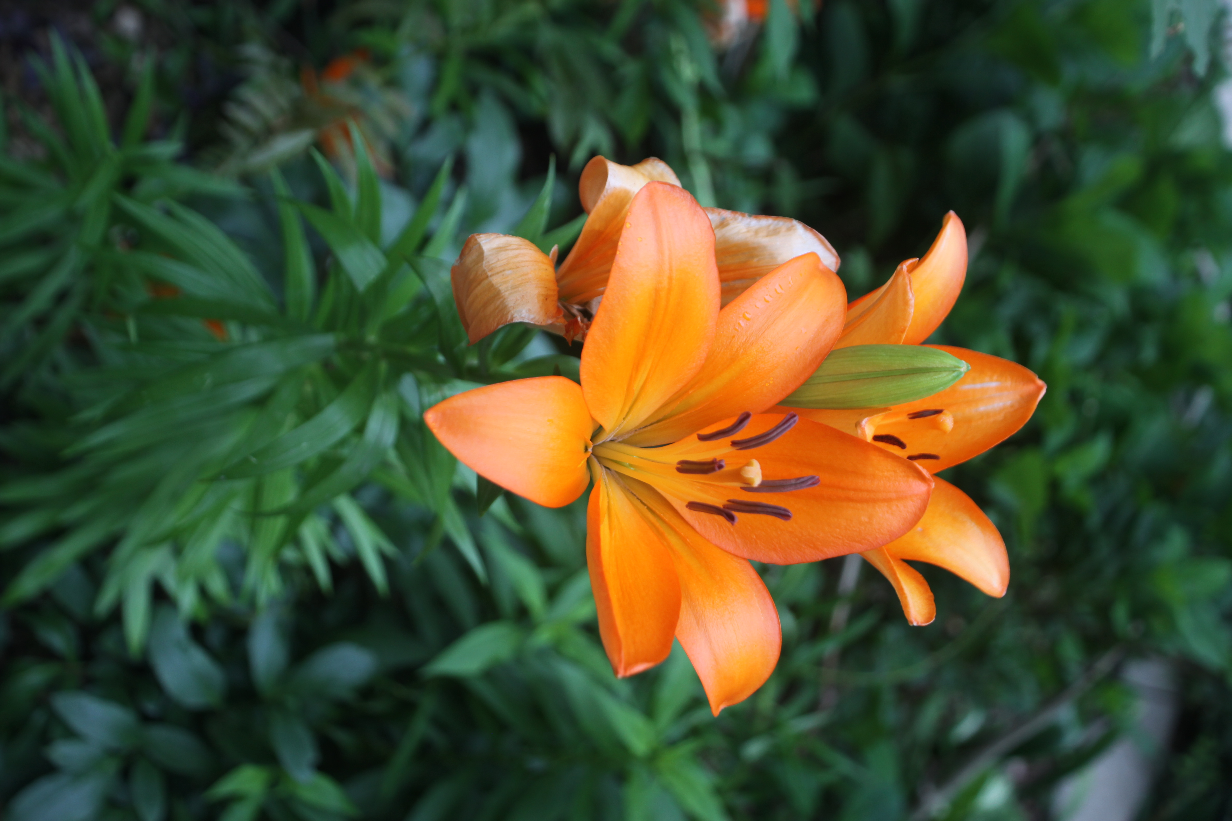 Weekly Featured Image